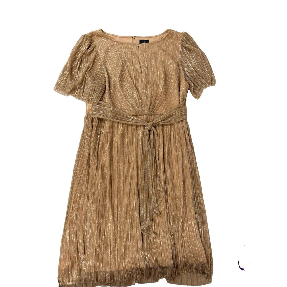 Adrianna Papell Gold Pleated Glitter Chiffon Lined A-Line Dress 20 Plus